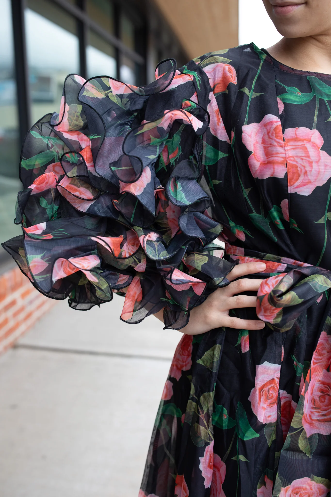 Overlay Ruffle Sleeve Dress - Image 4